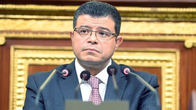 صورة النائب محمد سليمان…. المرأة المصرية حققت أسطورة نجاح على مر العصور