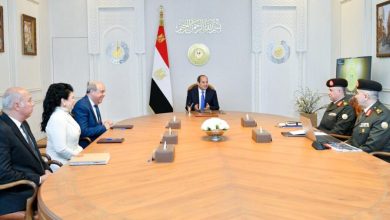 صورة الرئيس السيسي : ملف تطوير شركة مصر للطيران يحظى بأولوية قصوى