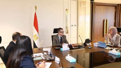 صورة وزير التخطيط يبحث  مع “OECD”  سبل تعزيز التعاون