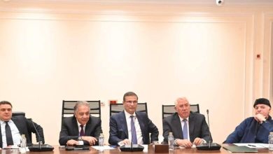 صورة وزير الزراعة : نستهدف توريد 5 ملايين طن قمح خلال الموسم الحالي