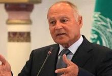 صورة أبو الغيط يدين بأشد العبارات استهداف ميناء الدقم بسلطنة عمان