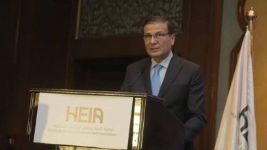 صورة فاروق : 11.5 مليار دولار قيمة صادرات المنتجات الزراعية الطازجة والمصنعة خلال 2025