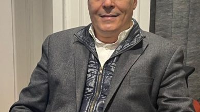 صورة عماد قناوي: دعم الاستثمار المحلي هو نقطة الانطلاق الحقيقية لجذب الاستثمار الأجنبي