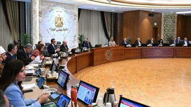 صورة الحكومة تُقر تعاونًا مع كبرى مؤسسات التصنيف وتدعم صناعة السيارات وتسرّع مشروعات الطاقة المتجددة