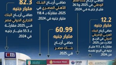 صورة “معلومات الوزراء”: طفرة في أرباح البنوك المصرية خلال 2025 بقيادة “الأهلي” و”التجاري الدولي”