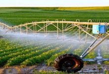 صورة جهاز المشروعات 800 مليون جنيه لدعم مشروعات سيناء وتمكين الشباب