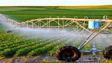 صورة جهاز المشروعات 800 مليون جنيه لدعم مشروعات سيناء وتمكين الشباب