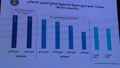 صورة وزير المالية  يستعرض إجراءات الحكومة لمواجهة تداعيات التوترات الإقليمية أمام البرلمان