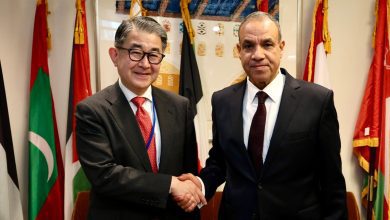 صورة وزير الخارجية يبحث مع “جايكا” تعزيز التعاون التنموي وجذب الاستثمارات اليابانية لمصر