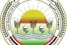 صورة إستنفار بيطري لتأمين “شم النسيم” .. حملات رقابية وإرشادات طبية لضمان سلامة الأسماك المملحة