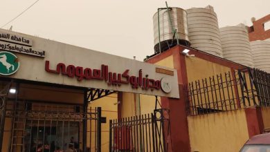 صورة د.منال عوض تعلن التشغيل التجريبي لمجزر أبو كبير بمحافظة الشرقية بتكلفة 25 مليون جنيه