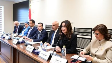 صورة وزيرة الثقافة : الإبداع نقيض التطرف في مواجهة الإنترنت