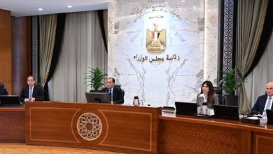 صورة مدبولي يتابع تنفيذ مشروعات “حياة كريمة” ويؤكد الاستعداد للمراحل المقبلة رغم التحديات الإقليمية