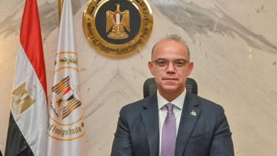 صورة د. فريد : انتظام العمل يوم الأحد حضوريًا وعبر المنصات الإلكترونية دون أي تعطيل