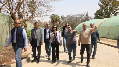 صورة وزيرة التنمية المحلية والبيئة تتفقد المشتل المركزي بالقاهرة الجديدة