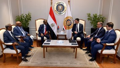 صورة مباحثات مصرية إريترية لتعزيز التعاون الصناعي والاستثماري… مصر تدعم خطط التصنيع ونقل الخبرات