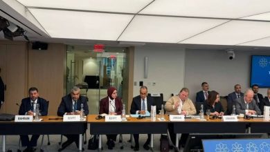 صورة وزير الخارجية : الإصلاحات الهيكلية دعمت قدرة الاقتصاد على مواجهة التضخم وارتفاع أسعار الطاقة والغذاء