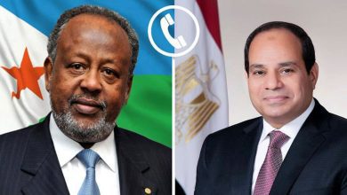 صورة الرئيس السيسي يهنئ رئيس جيبوتي بإعادة انتخابه ويؤكد دعم الشراكة الاستراتيجية والتنسيق المشترك