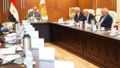 صورة صندوق إعانات الطوارئ ينفق 2.5 مليار جنيه لدعم العمال منذ تأسيسه