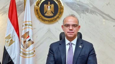 صورة وزارة الاستثمار : 12 منطقة استثمارية نجحت في جذب 66.3 مليار جنيه