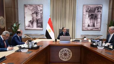 صورة مدبولي يبحث مع وزيري المالية والبترول تأمين احتياجات الطاقة وسداد مستحقات الشركاء الأجانب وتعزيز الإنتاج المحلي