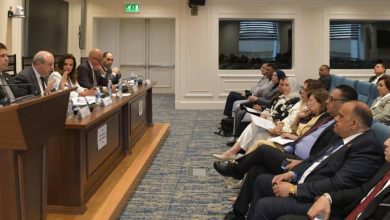 صورة وزير الطيران أمام «سياحة النواب»: خطة لتحديث الأسطول وتطوير مطار القاهرة وتعزيز الاستدامة