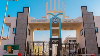 صورة 25.6 مليار جنيه إستثمارات التعليم العالي في سيناء ومدن القناة.. طفرة تعليمية لدعم التنمية الشاملة