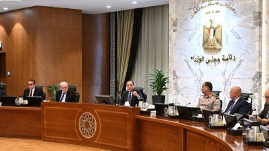 صورة الحكومة تُقر ضوابط موحدة لاختيار ممثلي الدولة في الشركات ومتابعة أدائهم