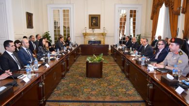 صورة وزير الخارجية :مصر تستعد لإستراتيجية جديدة لتعزيز حقوق الإنسان وتؤكد التزامها بالمعايير الدولية