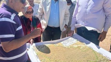 صورة إنجازات تنمية سيناء في عام.. الزراعة تكشف مشروعات كبرى وتمكينًا واسعًا للأهالي