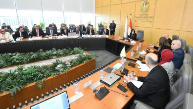 صورة الإسكان : 710 آلاف مستفيد من “سكن لكل المصريين” وتكثيف المتابعة الميدانية