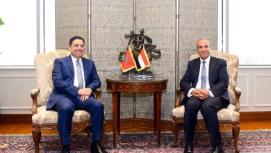 صورة “عبد العاطي” و”بوريطة” يبحثان بالقاهرة ترتيبات اللجنة العليا المشتركة ومواجهة تصعيد الإقليم