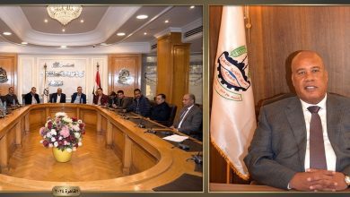 صورة البلطي بـ 40 والفسيخ بـ 250..  “تجار الأسماك” يكشف خارطة الأسعار وتوافر السلع بشم النسيم