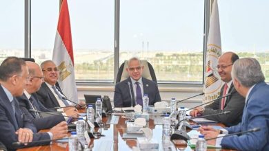 صورة وزير الاستثمار : الأسواق الأفريقية مفتاح تعزيز الصادرات السياحية والخدمية