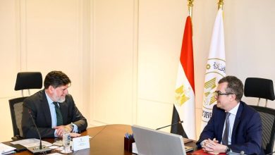 صورة وزير التخطيط  يبحث مع «OECD» دعم الإصلاح الاقتصادي وريادة الأعمال