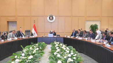 صورة وزير الاستثمار يوجه بدراسة جذب صناديق المعاشات الكورية للاستثمار بالبورصة المصرية