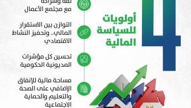 صورة وزير المالية : 4 أولويات للسياسات المالية لتحفيز الاستثمار وتوسيع الحماية الاجتماعية