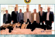 صورة ضبط محاولة تهريب خصلات شعر طبيعي بجمارك مطار شرم الشيخ الدولي