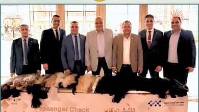 صورة ضبط محاولة تهريب خصلات شعر طبيعي بجمارك مطار شرم الشيخ الدولي