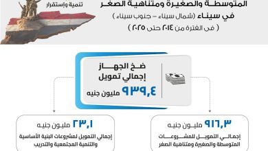 صورة باسل رحمي:  939 مليون جنيه لدعم مشروعات سيناء وتوفير 25 ألف فرصة عمل