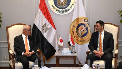 صورة التعاون المصري الياباني يتوسع صناعيًا.. فرص جديدة في السيارات والأدوية