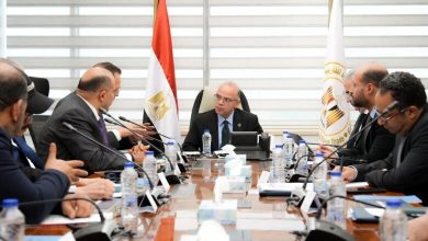 صورة إستثمارات صينية مرتقبة لتعزيز التصنيع المتقدم في مصر