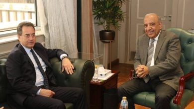 صورة مصر وفرنسا تبحثان تعزيز التعاون في الطاقة المتجددة وتطوير الشبكة الكهربائية