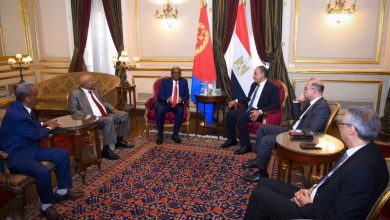 صورة وزيرا الخارجية والاستثمار يستقبلان وفداً إريترياً رفيع المستوى لبحث تعزيز الشراكة الاستراتيجية والتكامل الإقليمي