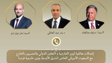 صورة وزير الخارجية المصري يجري اتصالات دولية لبحث جهود التهدئة الإقليمية