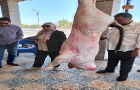 صورة ضربات رقابية مشددة لمواجهة ذبح “البتلو” خارج المجازر.. والزراعة: لا تهاون مع المخالفين