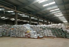 صورة البنك الزراعي المصري يُنهي استعداداته لاستقبال موسم توريد القمح 2026