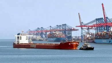صورة ميناء شرق بورسعيد يستقبل أكبر سفينة صب جاف ترسو في ميناء مصري