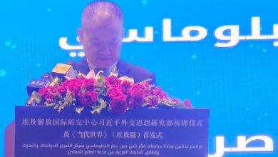 صورة ” ليو هايشينغ ” : “مجتمع المستقبل المشترك” يعزز السلام والتعاون بين الحضارات
