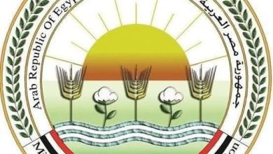 صورة “الزراعة تُحبط تهريب شمبانزي وزواحف نادرة بمطار القاهرة وتوجه بإيداعها حديقة حيوان الإسكندرية”